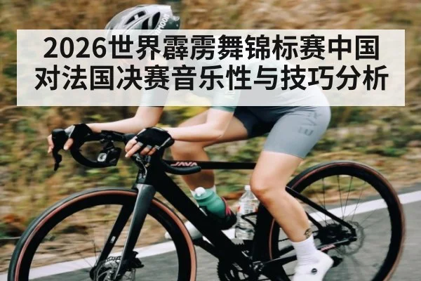 2026世界霹雳舞锦标赛中国对法国决赛音乐性与技巧分析